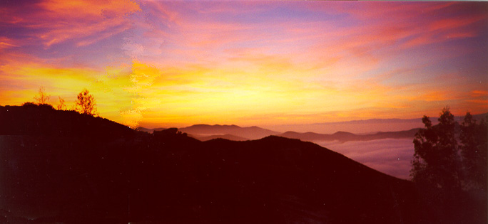 clifftop sunset smaller.jpg (65808 bytes)
